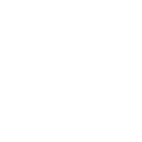 PAES PROJECTS